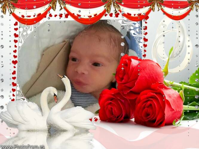 10567310_763475973695535_956974835_n.jpg Hosting at Sudaneseonline.com