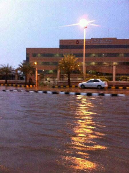 10570274_10201495880998739_4453715933000964559_n.jpg Hosting at Sudaneseonline.com