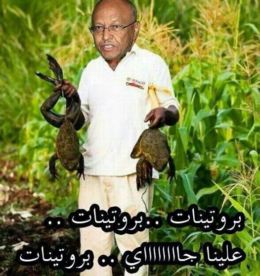 10600602_10202857967313645_1733548476247446299_n.jpg Hosting at Sudaneseonline.com