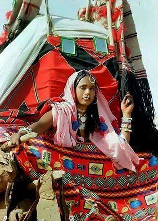 10610652_694918220590588_5623982577328559895_n.jpg Hosting at Sudaneseonline.com