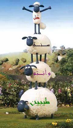 10620798_10205092788949004_3339488223241581330_n.jpg Hosting at Sudaneseonline.com