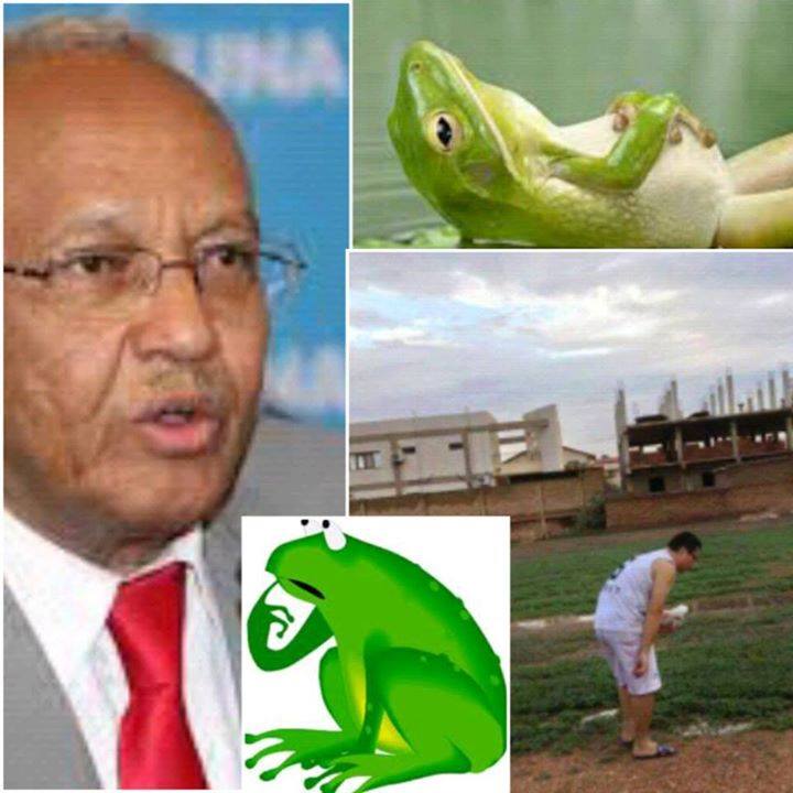 12237_691569270921617_1513888782549220255_n.jpg Hosting at Sudaneseonline.com