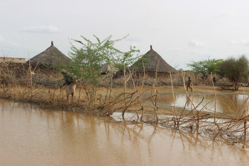 12501_10202519819784093_2633424251514983689_n.jpg Hosting at Sudaneseonline.com