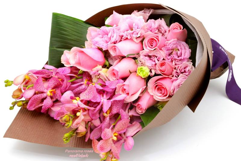 1346_614799775220251_1399980246_n.jpg Hosting at Sudaneseonline.com