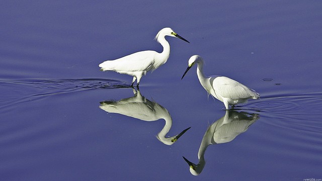 1363663.jpg Hosting at Sudaneseonline.com