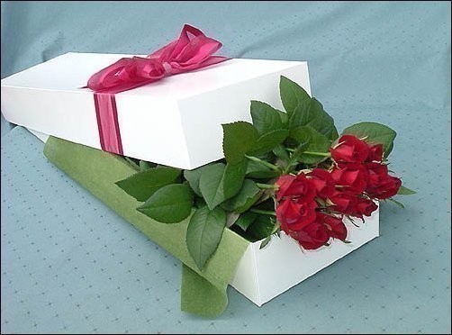 137.jpg Hosting at Sudaneseonline.com