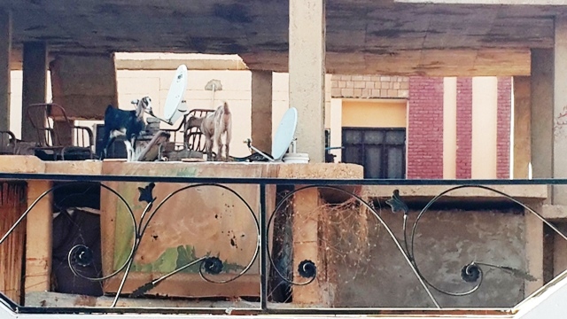 20140727_184940.jpg Hosting at Sudaneseonline.com