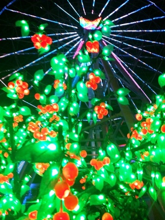 20140803_213323.jpgba.jpg Hosting at Sudaneseonline.com