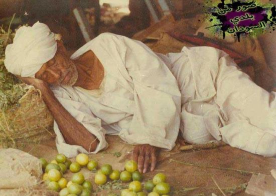 310.jpg Hosting at Sudaneseonline.com