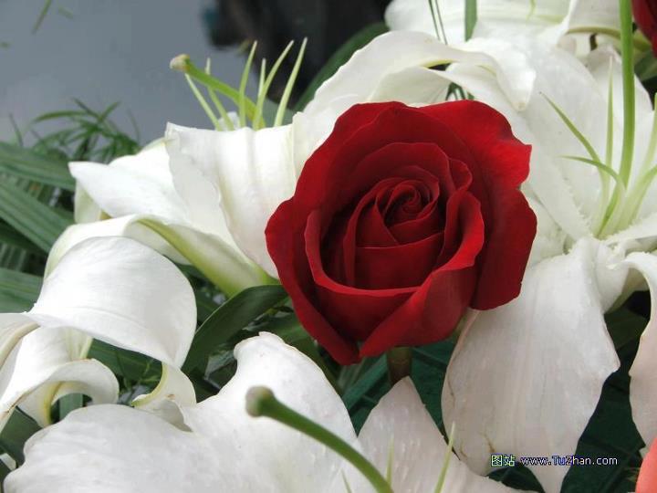 377758_601202393227139_1949202_n.jpg Hosting at Sudaneseonline.com