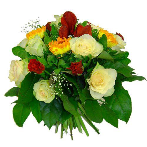 379944_326579827370320_100000549172064_1216177_2121576062_n4.jpg Hosting at Sudaneseonline.com