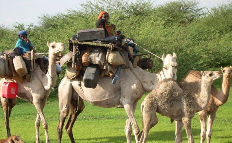 38-2014.JPG Hosting at Sudaneseonline.com