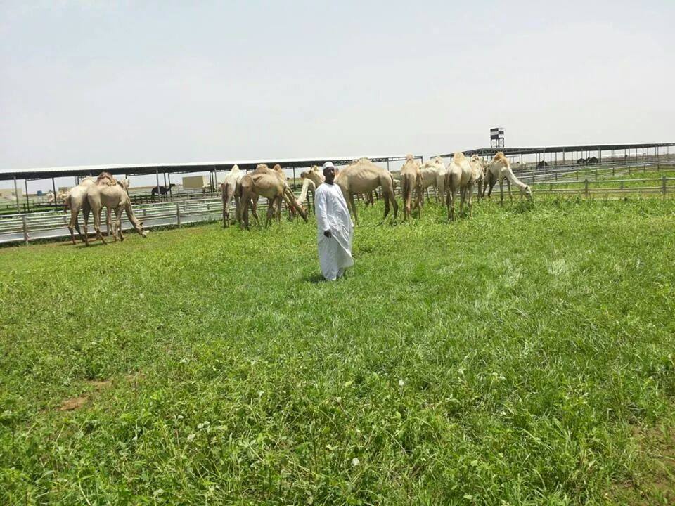 39-2014.jpg Hosting at Sudaneseonline.com