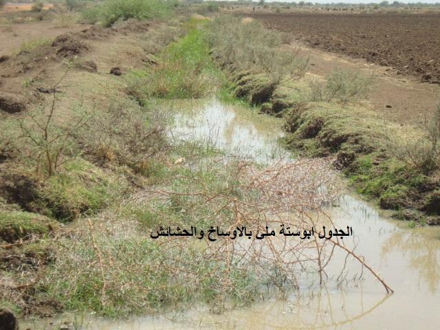 410601344.jpg Hosting at Sudaneseonline.com