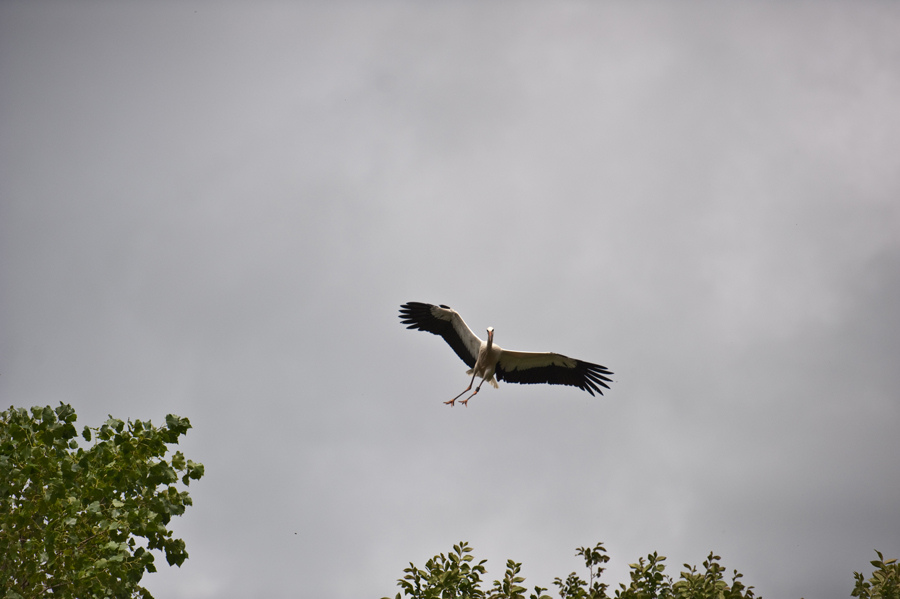 47066595288075337457.jpg Hosting at Sudaneseonline.com