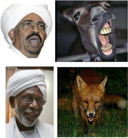 524811_10151533562057250_1925564522_n.jpg Hosting at Sudaneseonline.com