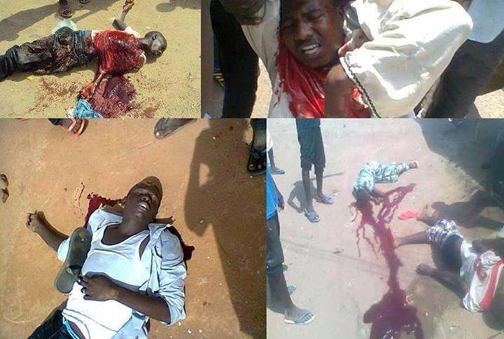 534341_10201907953001697_977969106_n.jpg Hosting at Sudaneseonline.com