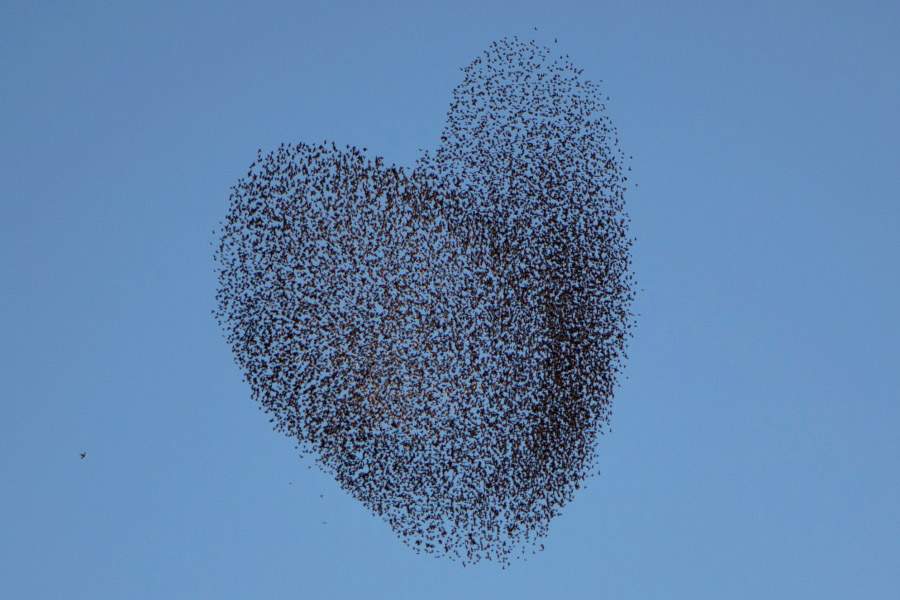 626176.jpg Hosting at Sudaneseonline.com