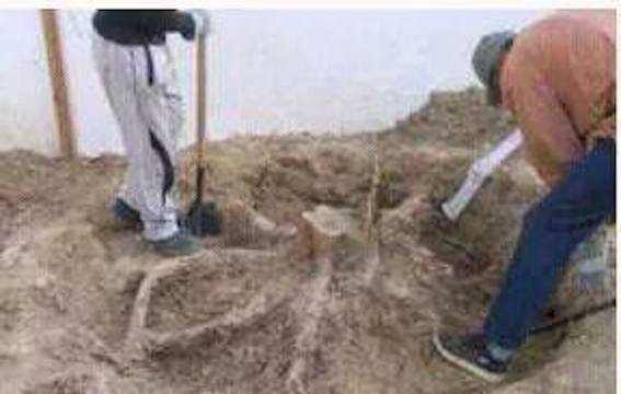 A2.jpg Hosting at Sudaneseonline.com