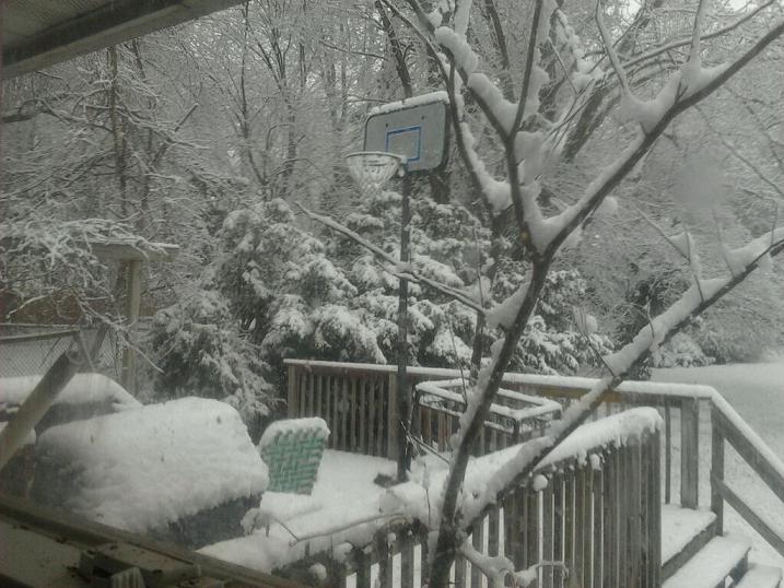 Bowie.JPG Hosting at Sudaneseonline.com