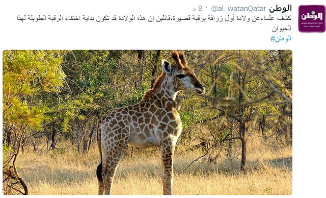 Fullscreencapture718201441119PM.jpg Hosting at Sudaneseonline.com