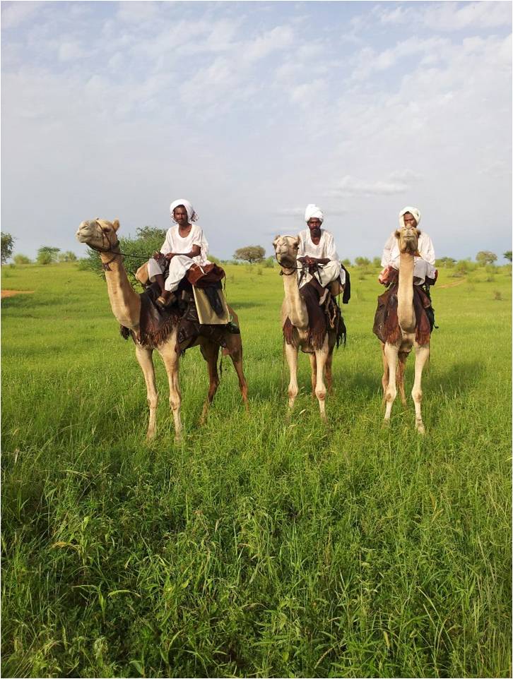 Habab1.jpg Hosting at Sudaneseonline.com