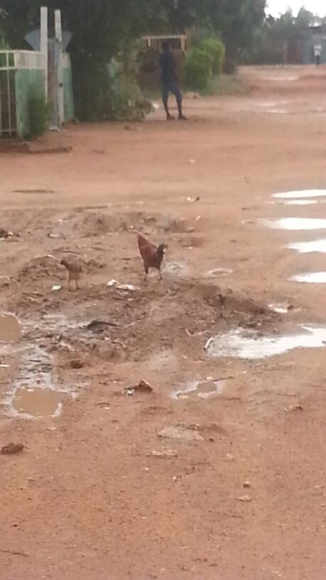 IMG-20140926-WA0062.jpg Hosting at Sudaneseonline.com