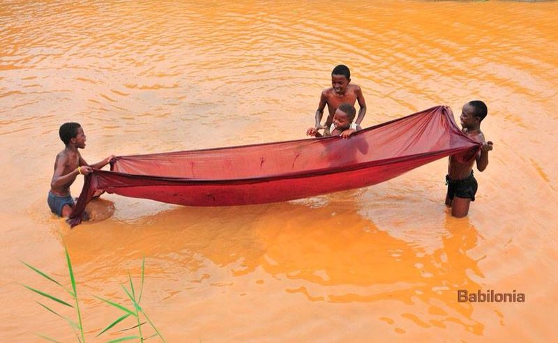 IMG_0562.JPG Hosting at Sudaneseonline.com