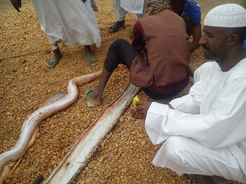 IMG_4276.jpg Hosting at Sudaneseonline.com