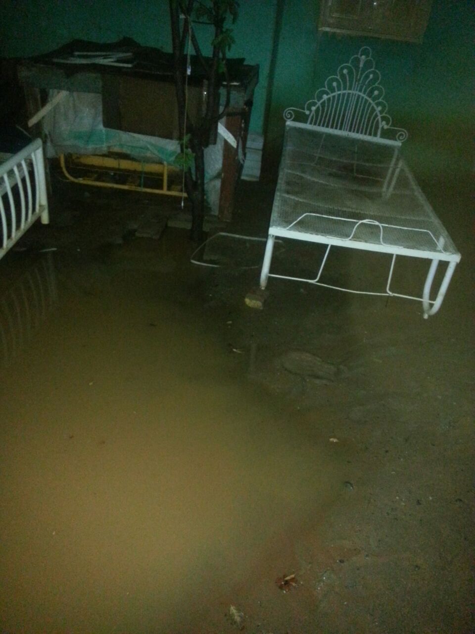 IMG_4981sudan1sudan.JPG Hosting at Sudaneseonline.com