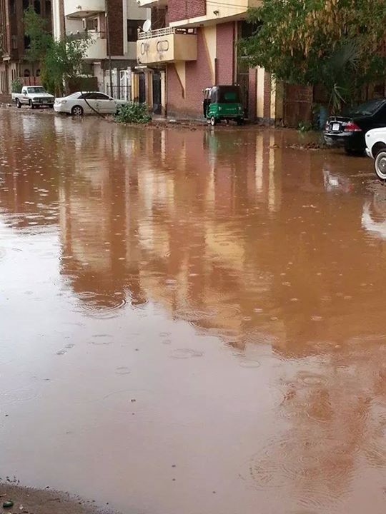 IMG_4993sudan1sudan.JPG Hosting at Sudaneseonline.com