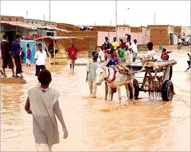 IMG_5001sudan1sudan.JPG Hosting at Sudaneseonline.com