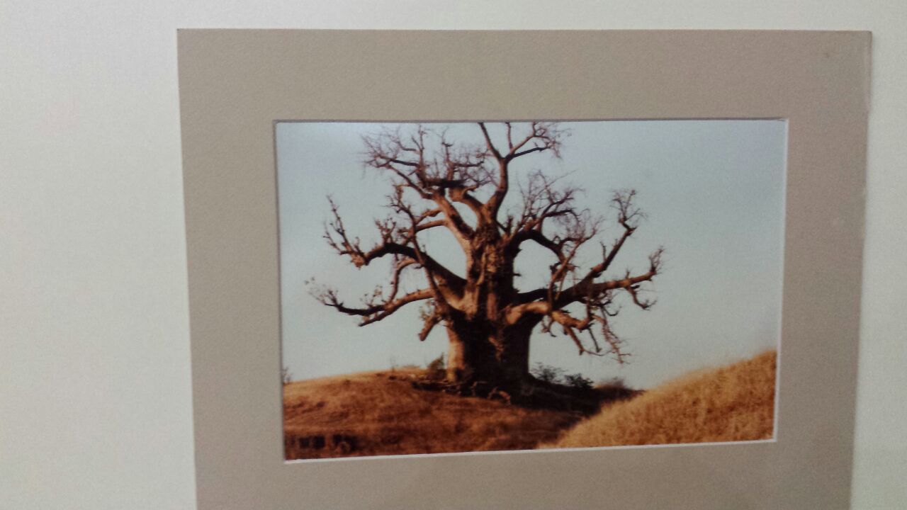 IMG_5448sudan1sudan.JPG Hosting at Sudaneseonline.com