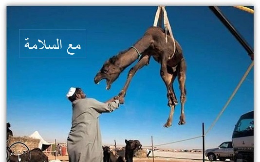 Picture5.jpg Hosting at Sudaneseonline.com