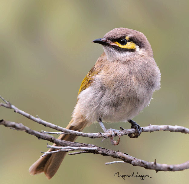 RTJHM1642014.jpg Hosting at Sudaneseonline.com