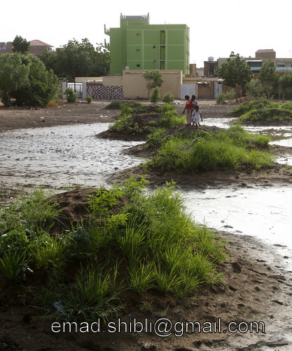 _MAD5147.JPG Hosting at Sudaneseonline.com