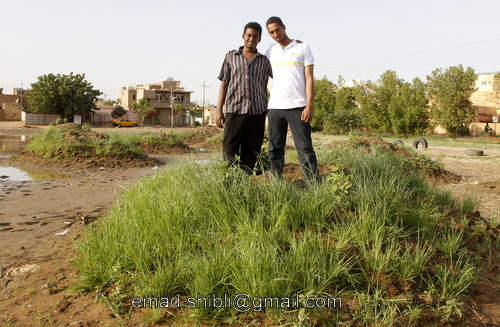 _MAD5166.JPG Hosting at Sudaneseonline.com