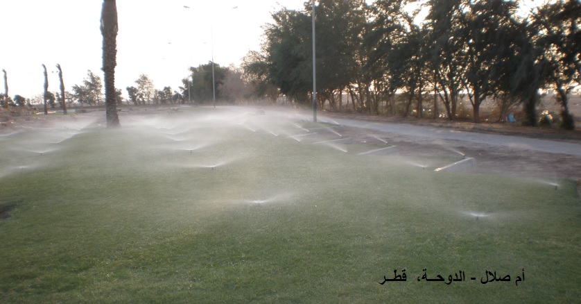 abureesh-7.jpg Hosting at Sudaneseonline.com