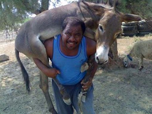 b9.jpg Hosting at Sudaneseonline.com