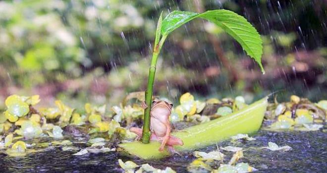 dfd.jpg Hosting at Sudaneseonline.com