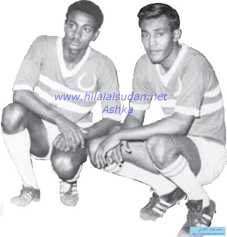 domain-687260138d.jpg Hosting at Sudaneseonline.com