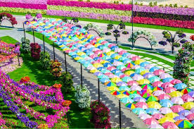 download5.jpg Hosting at Sudaneseonline.com