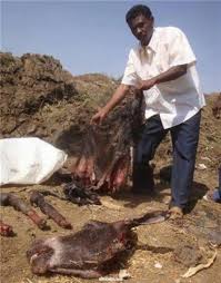 downloadsudan6sudan1.jpg Hosting at Sudaneseonline.com