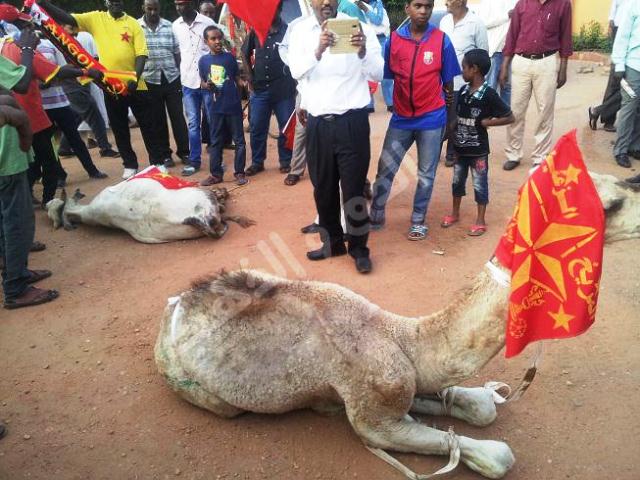 e18.jpg Hosting at Sudaneseonline.com