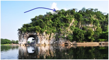 elephant-trunk.jpg Hosting at Sudaneseonline.com