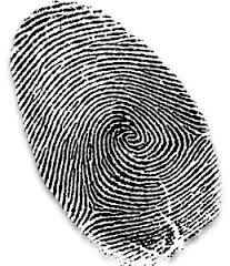 fingerprint1.jpg Hosting at Sudaneseonline.com