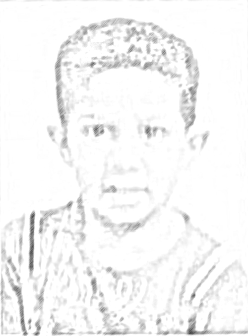 hamad2.jpg Hosting at Sudaneseonline.com