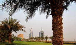 hassan10.jpg Hosting at Sudaneseonline.com