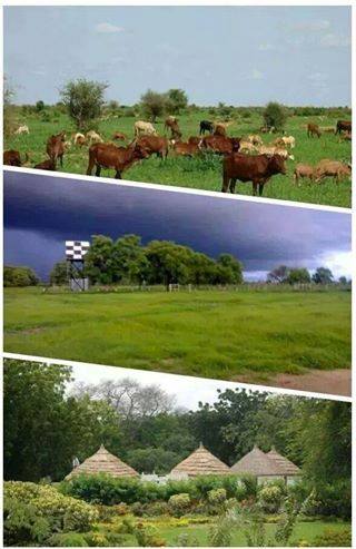 i1.jpg Hosting at Sudaneseonline.com