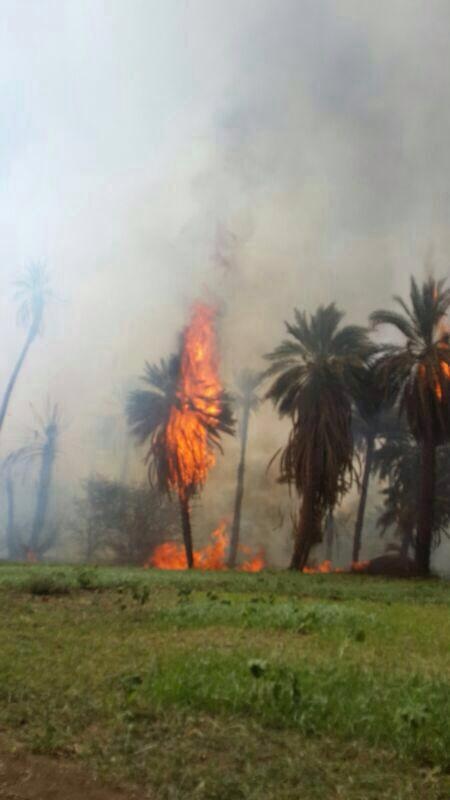 image76.jpg Hosting at Sudaneseonline.com